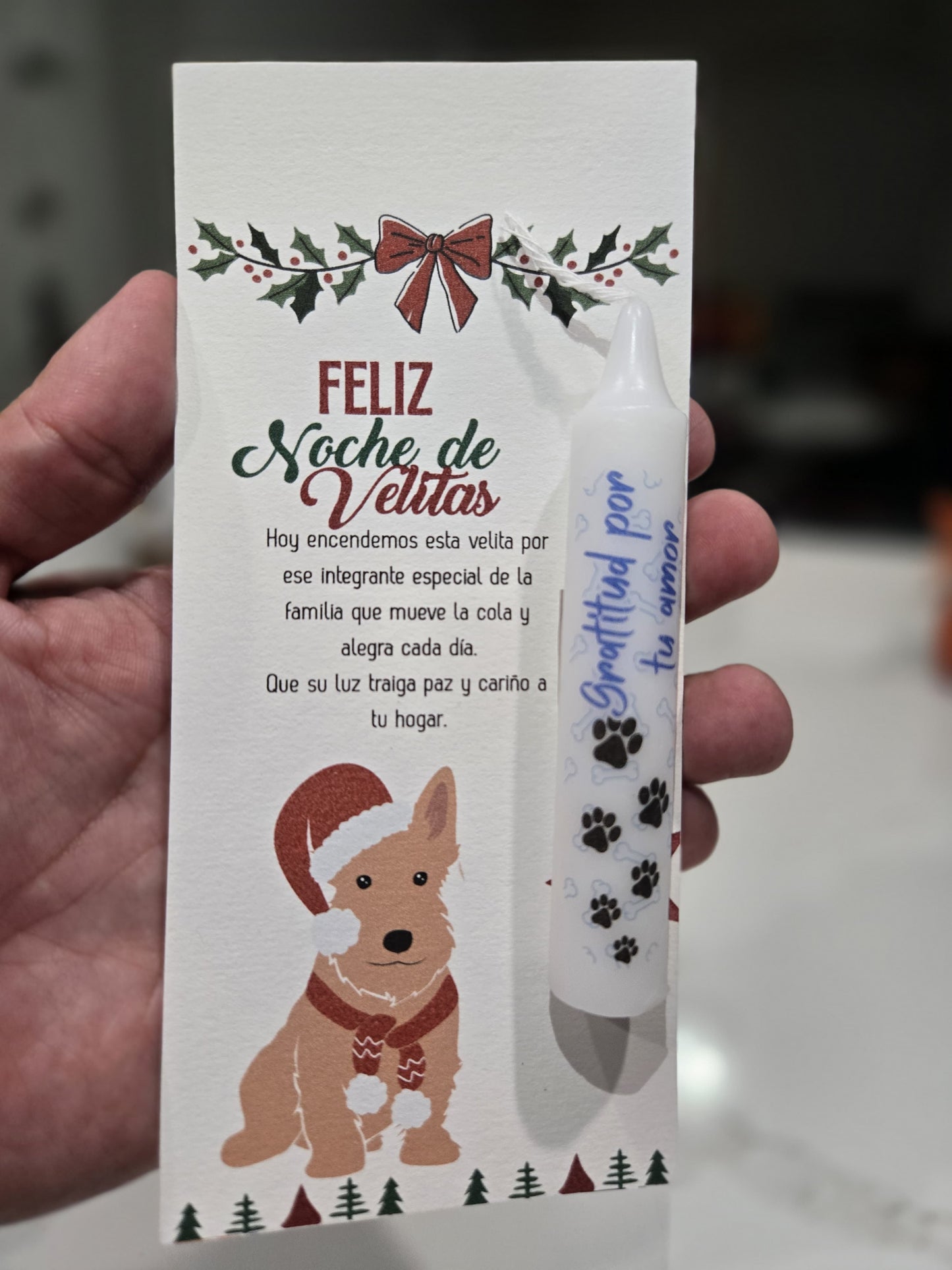 Caja de 10 Velitas Personalizadas para Noche de Velitas | Day of the Little Candles